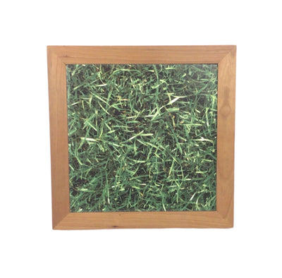 Hot-Cold Tile Trivet - Remind your guests of the bluegrass with every home-cooked meal served on this tile trivet!